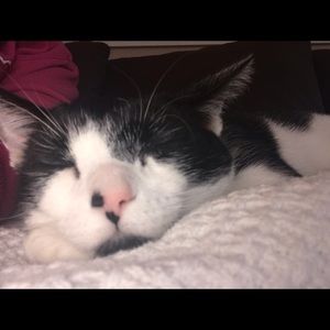 Meet your Posher, Robin